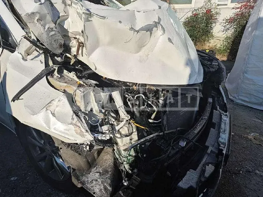 Photo 2 of 17: 2019 Kia Carnivals — Korean insurance auction