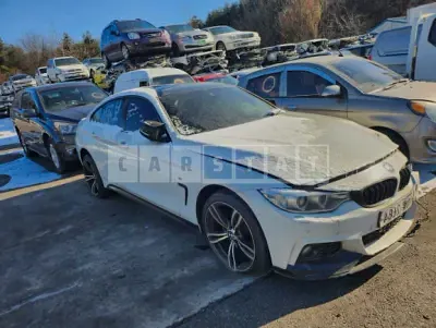 Photo 1 of 9: 2015 BMW 420d xDrive Gran Coupe, VIN WBA4F1107FG313905 — Korean insurance auction