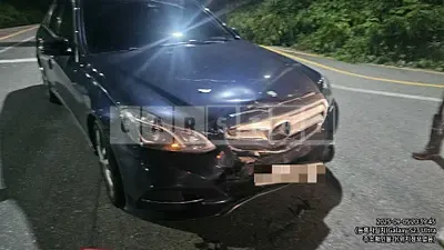 Photo 1 of 10: 2015 Mercedes-Benz E220 BlueTec — Korean insurance auction