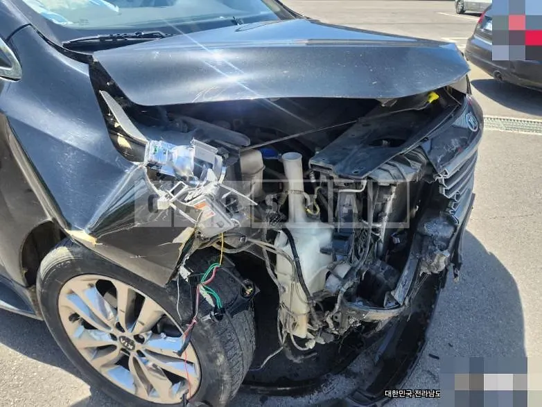 Photo 2 of 7: 2015 Kia Carnivals — Korean insurance auction