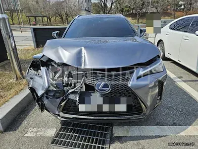 2021 UX 250h F Sport