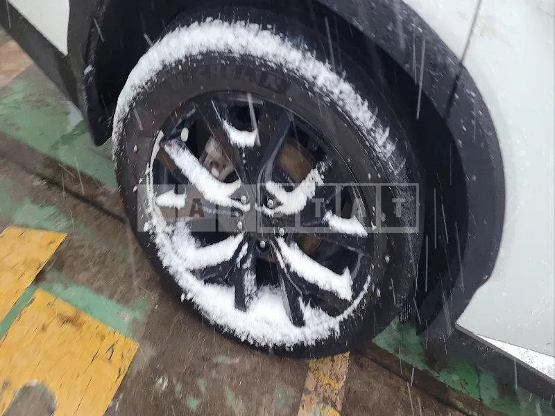 Photo 2 of 17: 2019 Hyundai Palisade 3.8 (4WD) — Korean insurance auction