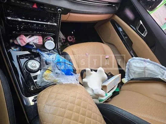 Photo 2 of 14: 2021 Kia Carnival — Korean insurance auction
