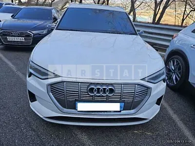 Photo 1 of 14: 2020 Audi e-tron 55 quattro — Korean insurance auction