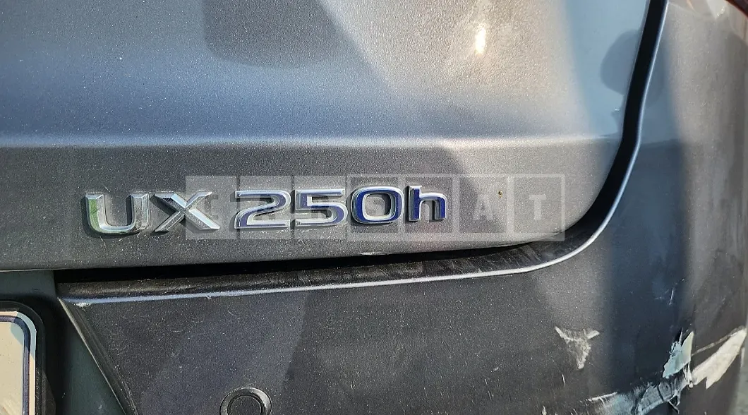Photo 2 of 30: 2019 Lexus UX250h AWD, VIN JTHU9JBH4K2002923 — Korean insurance auction