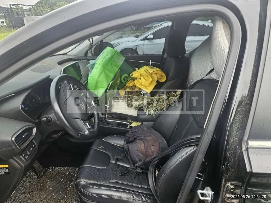 Photo 2 of 29: 2020 Hyundai Santa Fe TM Gasoline — Korean insurance auction