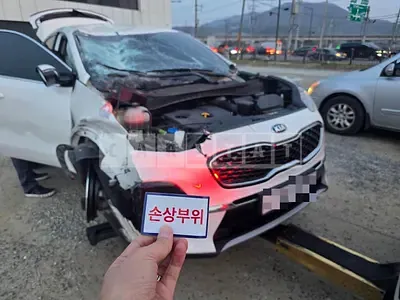 Photo 1 of 8: 2019 Kia Sportage Gasoline — Korean insurance auction