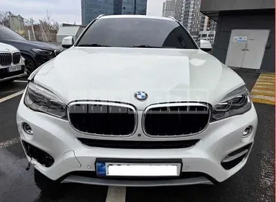 2019 BMW BMW X6 xDrive30d WLTP