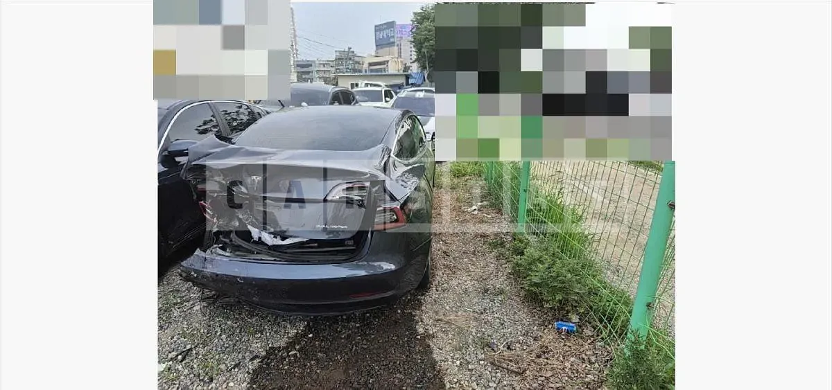 Photo 2 of 17: 2020 Tesla Model 3 Long Range — Korean insurance auction