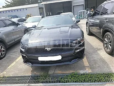 Photo 1 of 16: 2019 Ford Mustang 2.3 Coupe, VIN 1FA6P8TH5K5128140 — Korean insurance auction