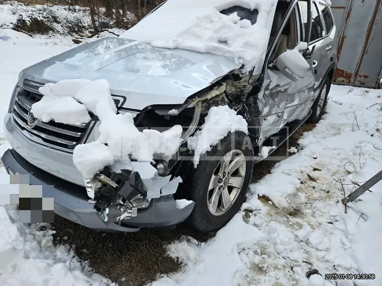 Photo 2 of 17: 2015 Kia Mojave 3.0 (4WD) — Korean insurance auction