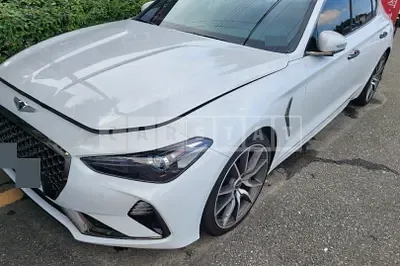 Photo 1 of 31: 2019 Genesis Acupuncture Nessis G70 2.0T — Korean insurance auction