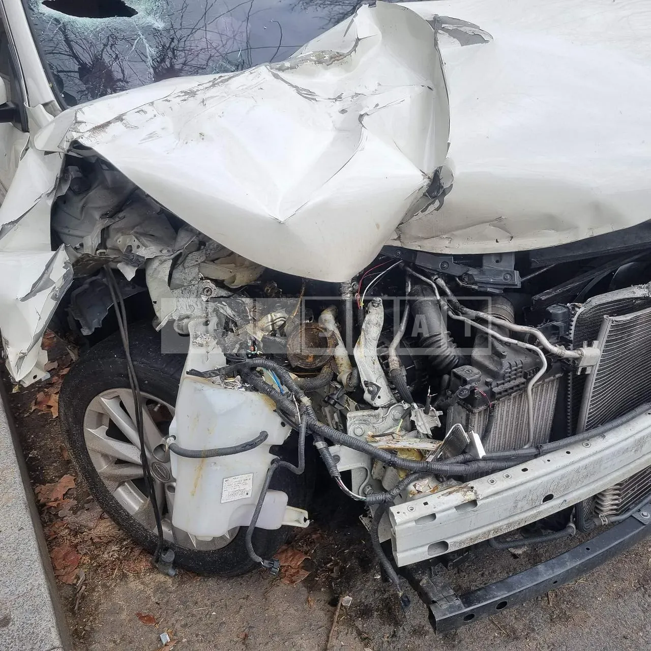 Photo 2 of 9: 2015 Nissan Qashqai, VIN SJNDJ18E9FA206604 — Korean insurance auction