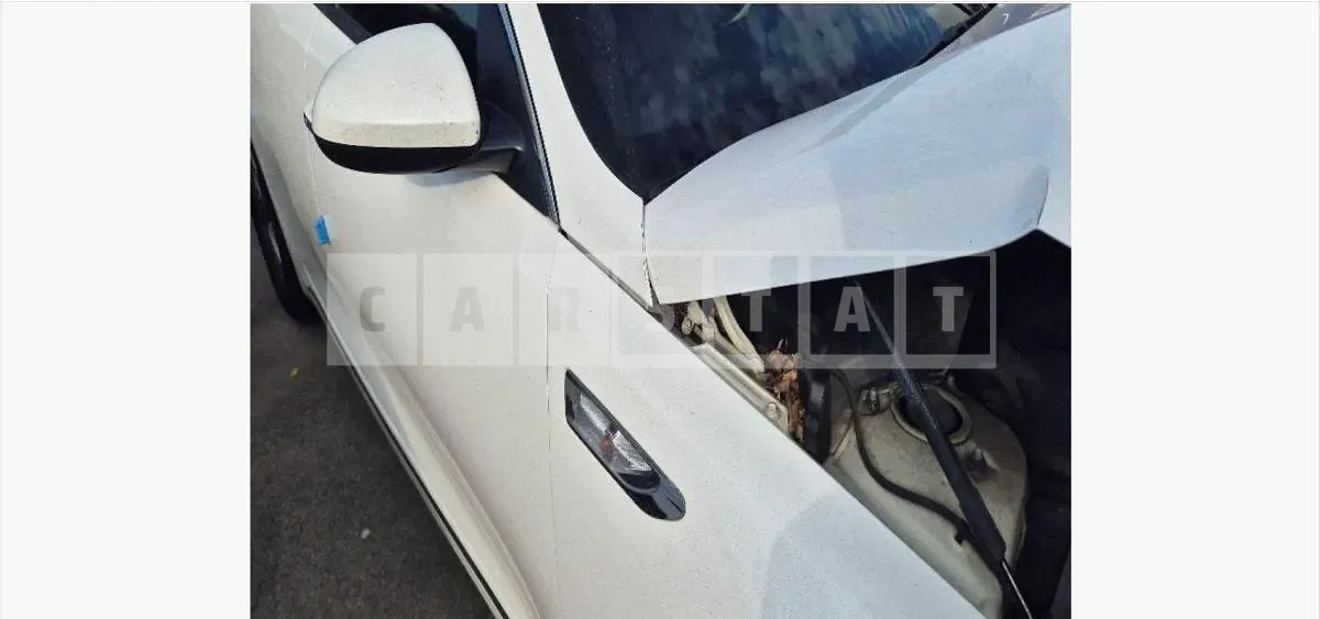 Photo 2 of 25: 2019 Kia K5 LPG — Korean insurance auction