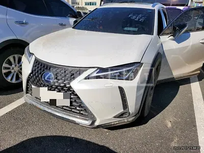Photo 1 of 19: 2020 Lexus Ux 250h 2WD, VIN JTHP6JBH5L2073913 — Korean insurance auction