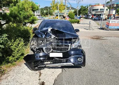 Photo 1 of 9: 2018 Kia Carnival — Korean insurance auction