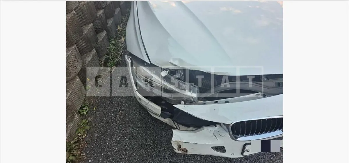 Photo 2 of 8: 2015 BMW 320d — Korean insurance auction