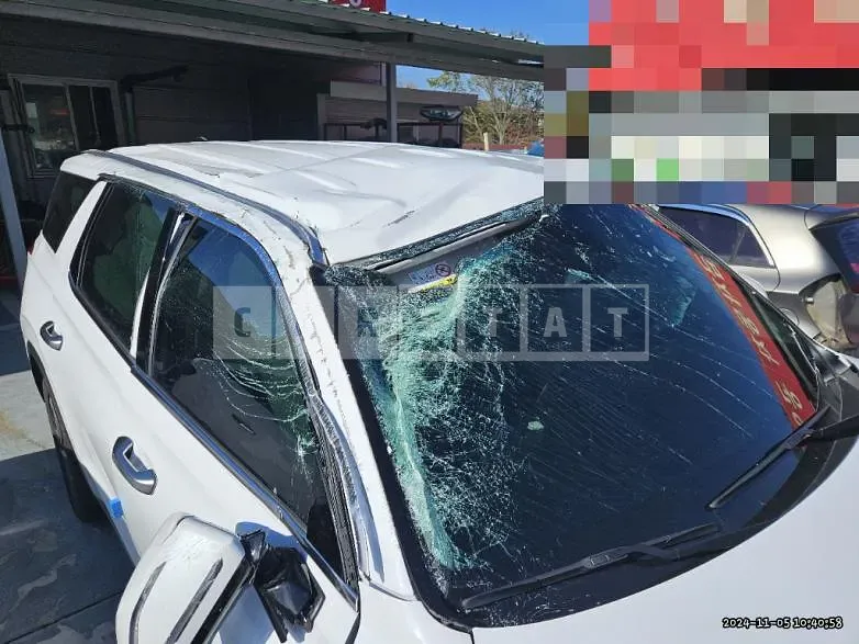 Photo 2 of 28: 2023 Hyundai Palisade 3.8 — Korean insurance auction