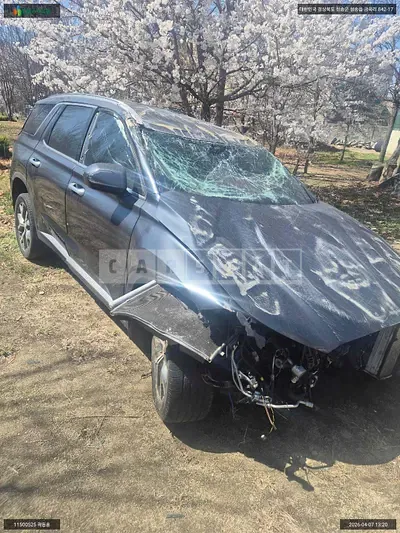 Photo 1 of 13: 2019 Hyundai Palisade, VIN KMHR381ADKU032803 — Korean insurance auction