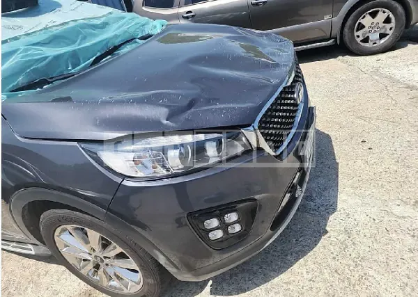 Photo 2 of 15: 2017 Kia Sorento — Korean insurance auction
