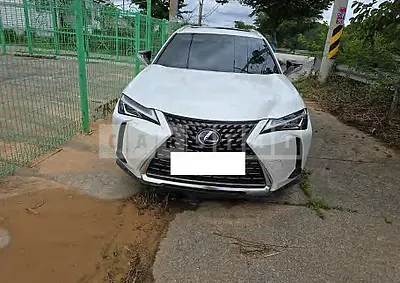 Photo 1 of 16: 2021 Lexus Ux 250h 2WD — Korean insurance auction