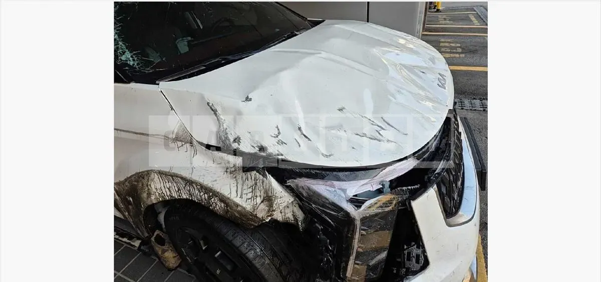 Photo 2 of 37: 2024 Kia Carnivals — Korean insurance auction