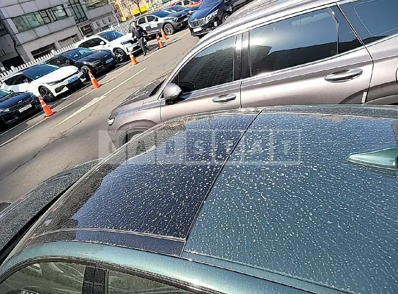 Photo 2 of 50: 2022 Kia Stinger, VIN KNAE551CDNS116864 — Korean insurance auction