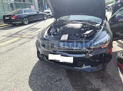 Photo 1 of 11: 2019 Kia Stinger, VIN KNAE751CDKS058777 — Korean insurance auction
