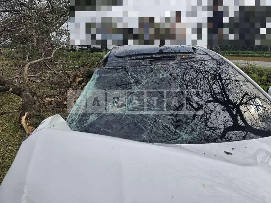 Photo 2 of 7: 2015 Kia K7 — Korean insurance auction