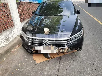 Photo 1 of 33: 2018 Volkswagen Passat 2.0 TSI, VIN 1VWZZZA3ZJC045356 — Korean insurance auction