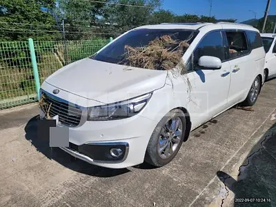 Photo 1 of 8: 2017 Kia Carnival 9 -Seater — Korean insurance auction