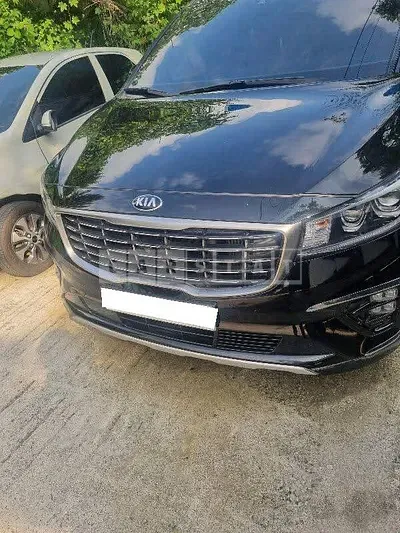 2019 Carnival carnival limousine