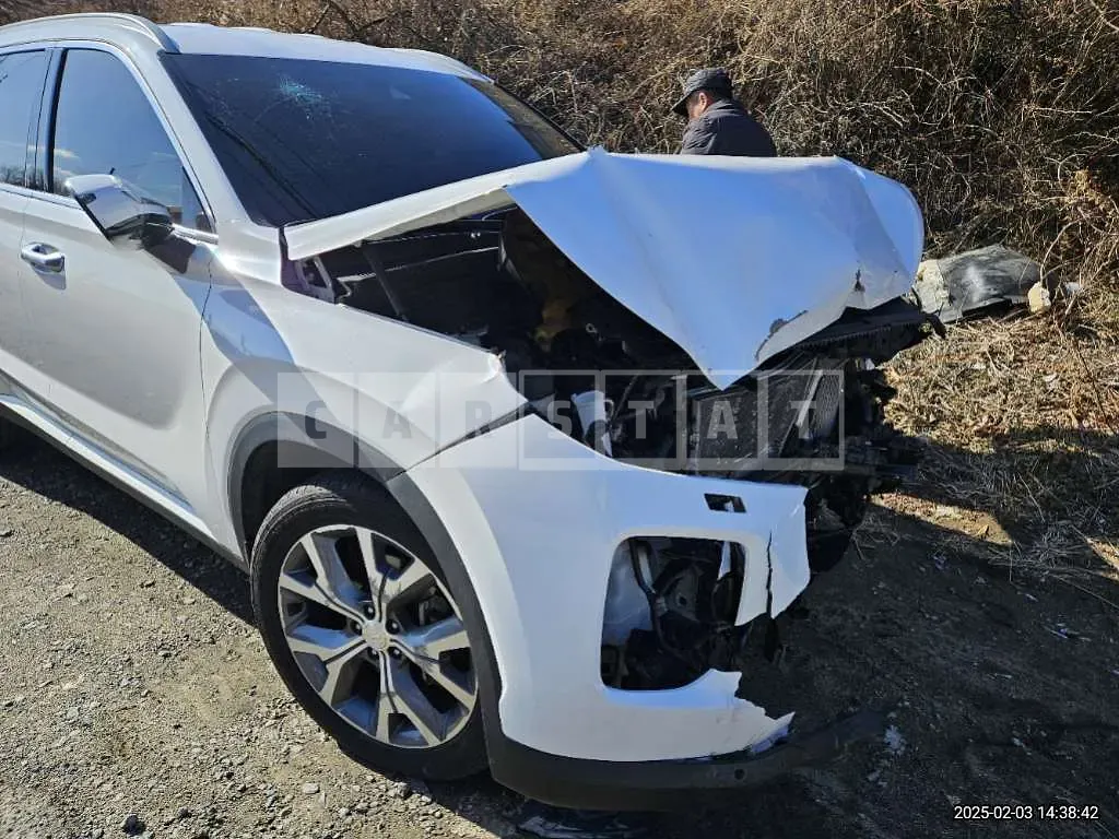 Photo 2 of 22: 2019 Hyundai Palisade 2.2 — Korean insurance auction