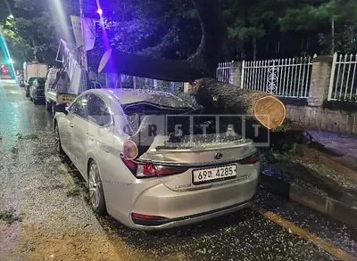 Photo 1 of 40: 2019 Lexus ES300h — Korean insurance auction