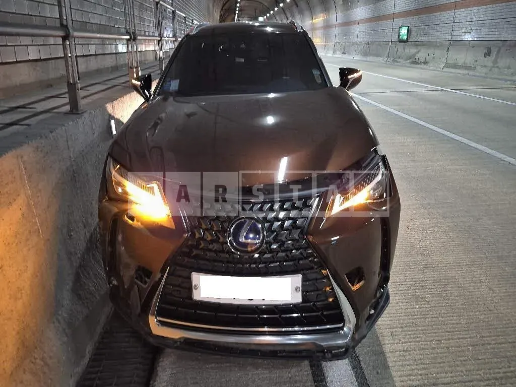 Photo 2 of 29: 2019 Lexus Ux 250h AWD, VIN JTHU9JBH5K2006821 — Korean insurance auction