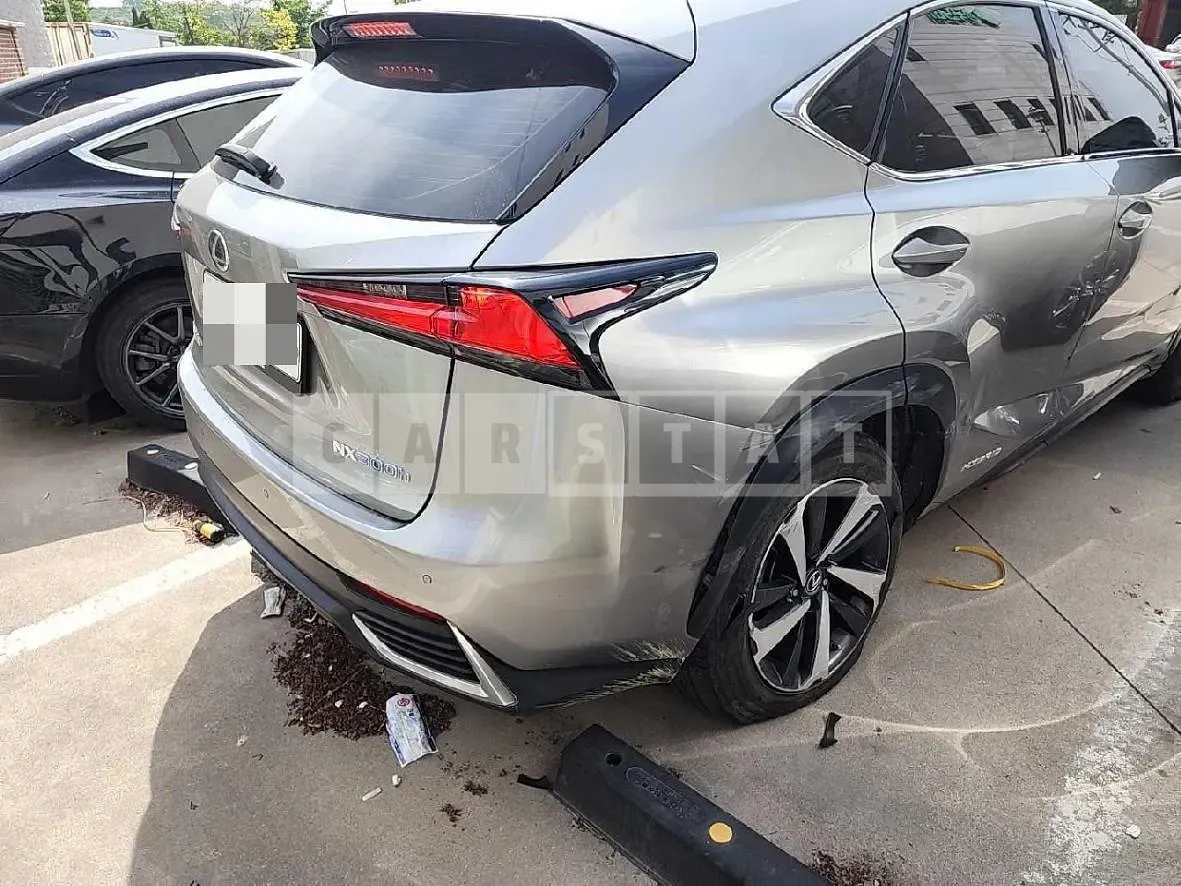 Photo 2 of 62: 2017 Lexus NX300h, VIN JTJBJRBZ4J2079570 — Korean insurance auction