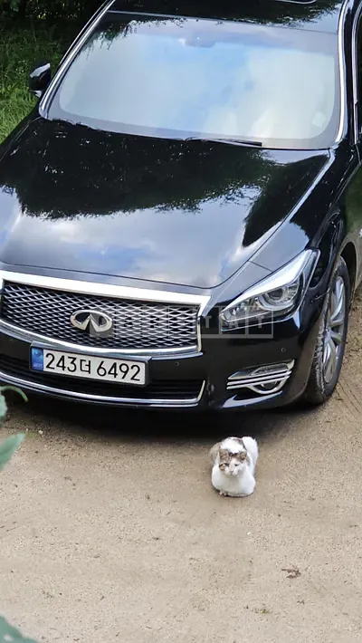 2017 Infiniti Q70 3.7