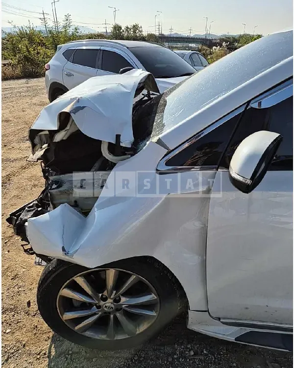 Photo 2 of 19: 2019 Kia Carnival — Korean insurance auction