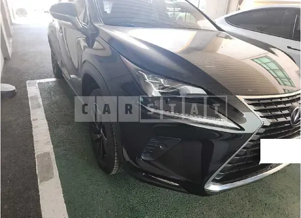 Photo 2 of 14: 2018 Lexus NX300h — Korean insurance auction