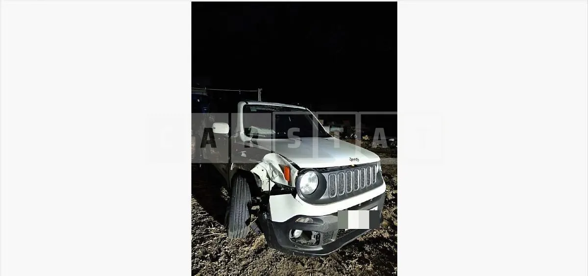 Photo 2 of 20: 2018 Jeep Zip Renegade 2.4 — Korean insurance auction