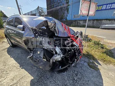 2015 Sportage Sportage