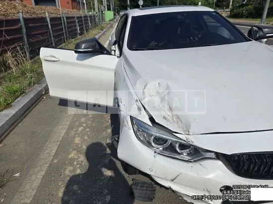 Photo 2 of 20: 2017 BMW 420i GranCoupe — Korean insurance auction