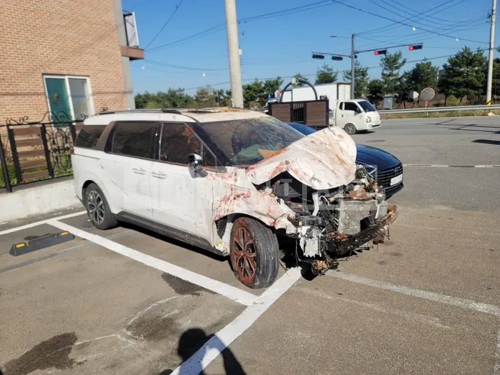 Photo 2 of 13: 2021 Kia Carnival, VIN KNANE81BBNS155173 — Korean insurance auction