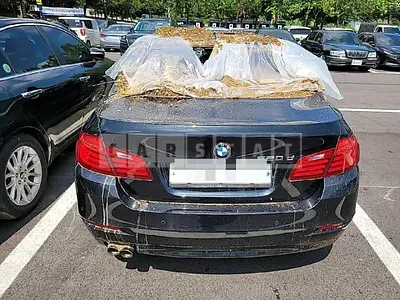 Photo 1 of 7: 2015 BMW Calm 520d — Korean insurance auction