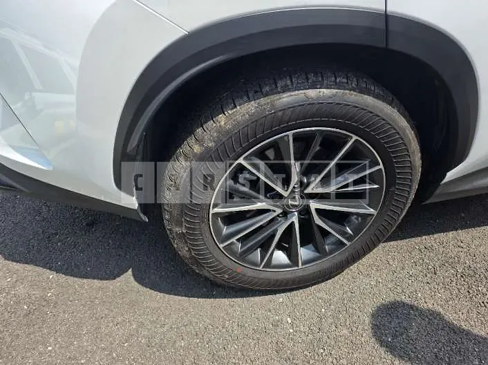 Photo 2 of 45: 2024 Lexus NX450h+ — Korean insurance auction
