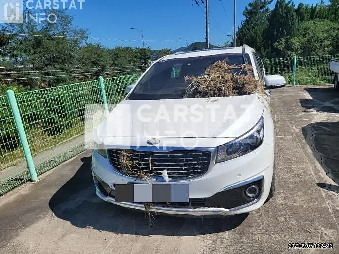 Photo 2 of 8: 2017 Kia Carnival 9 -Seater — Korean insurance auction