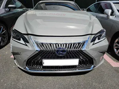 2018 Lexus Lexus ES300h