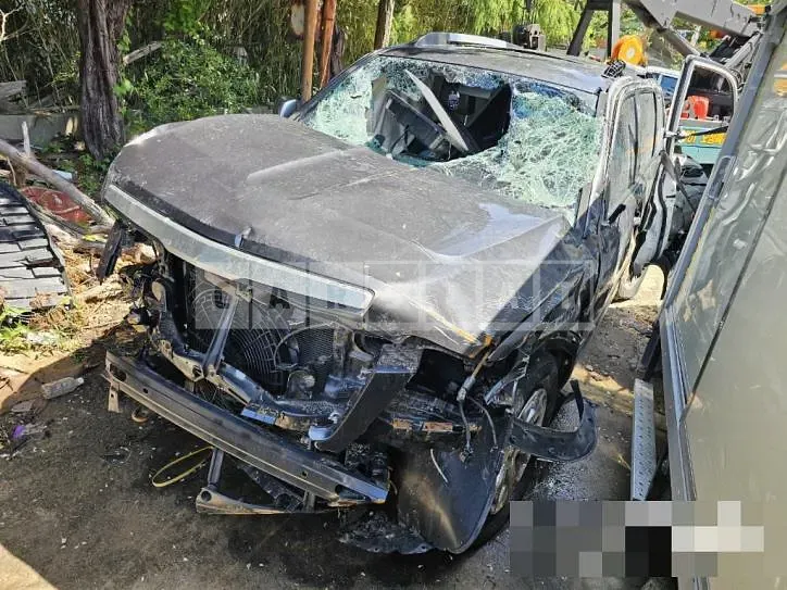 Photo 2 of 6: 2018 Kia Mojave 3.0 (4WD) — Korean insurance auction