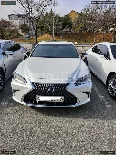 2022 lexus /lexus es300h