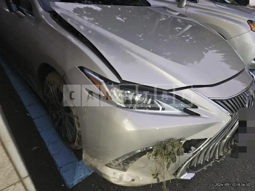 Photo 2 of 20: 2018 Lexus ES300h — Korean insurance auction